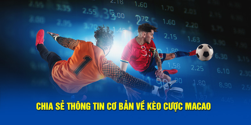 Chia sẻ thông tin cơ bản về kèo cược Macao